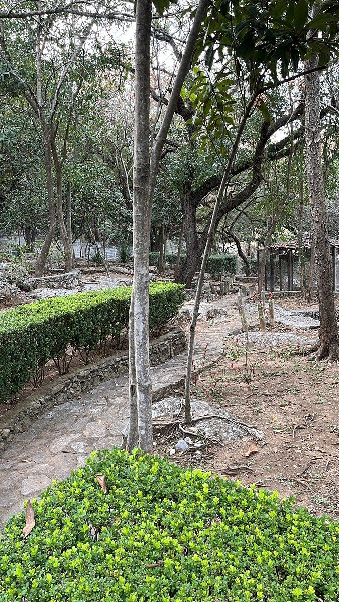 Foto 16