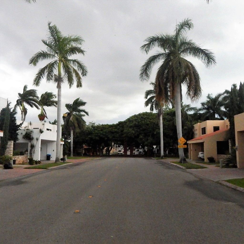 Foto 17