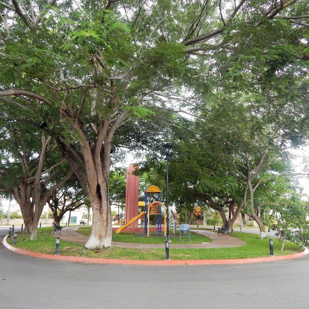 Foto 19
