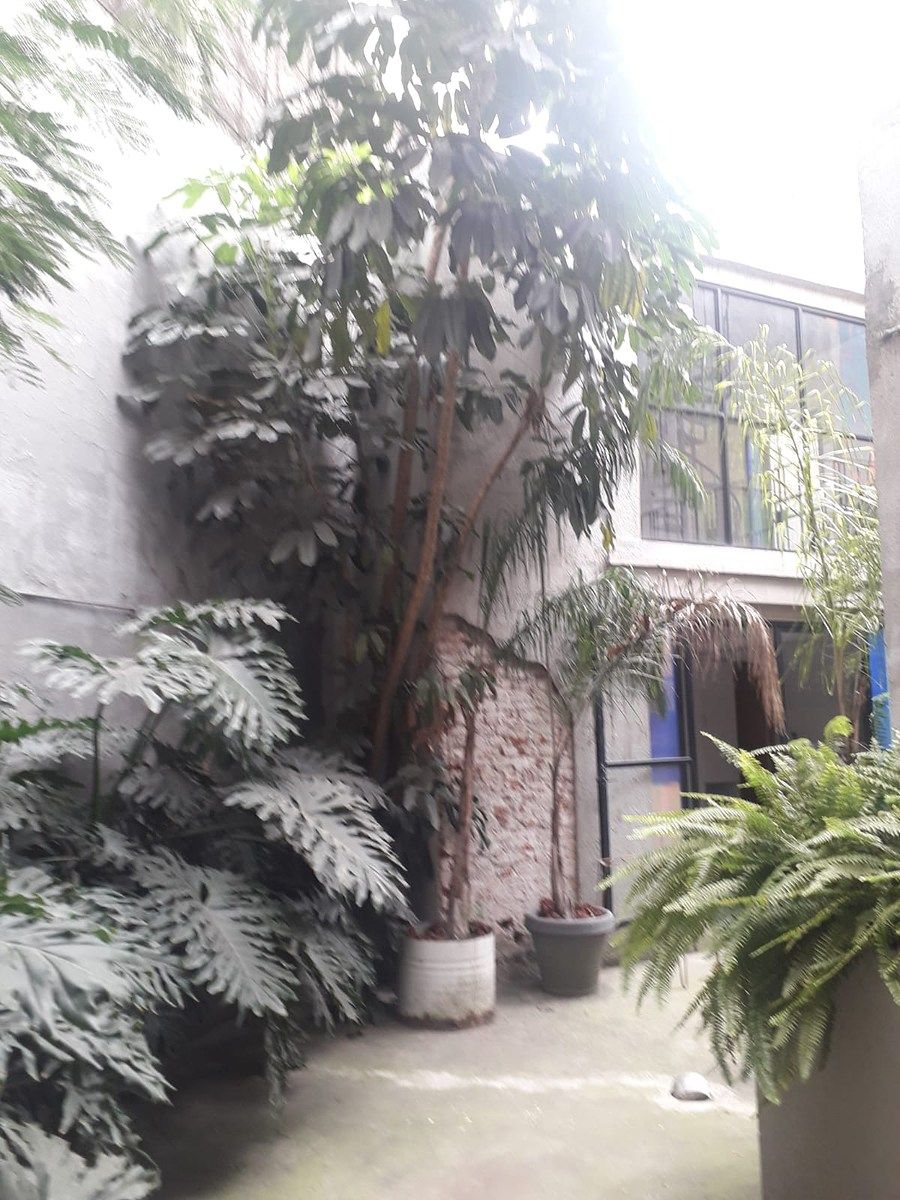 Foto 7