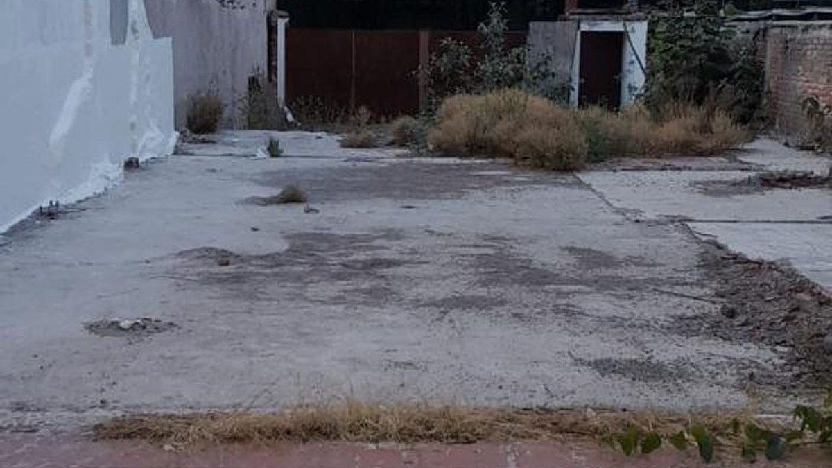 Foto 6