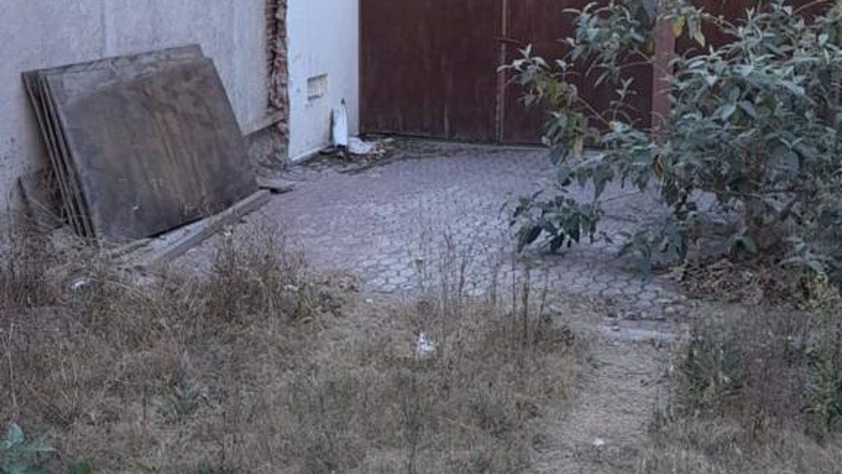 Foto 4