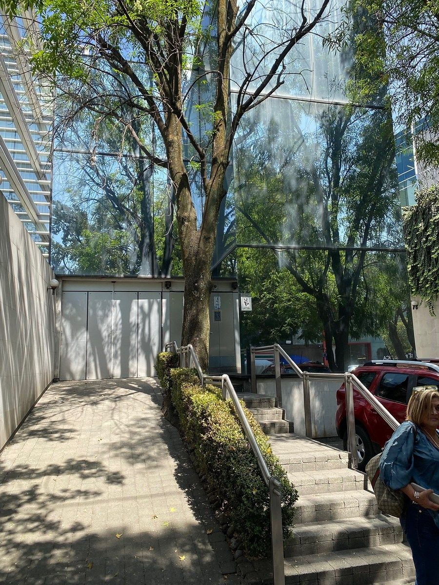 Departamento en venta · Lomas de Virreyes, Miguel Hidalgo, Ciudad de México Departamento en venta · Lomas de Virreyes, Miguel Hidalgo, Ciudad de México