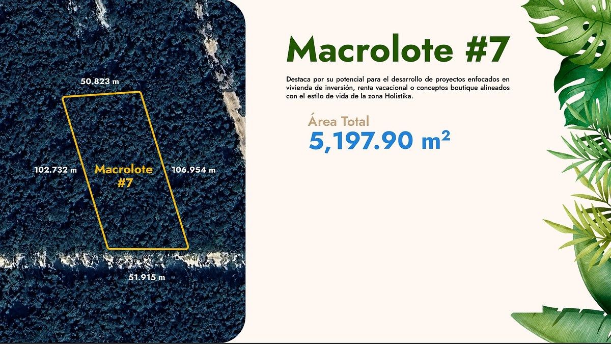 Lote en venta · La Veleta, Tulum, Quintana Roo