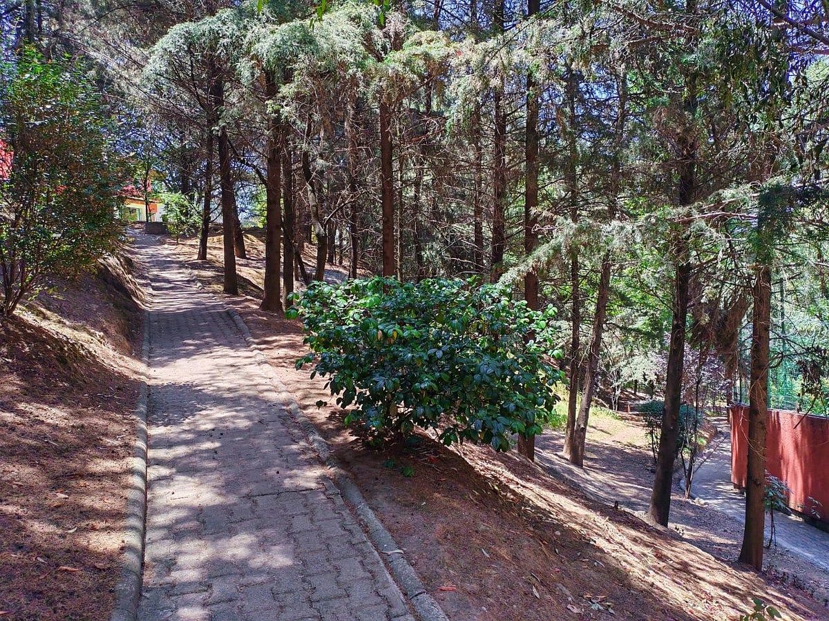 Foto 15