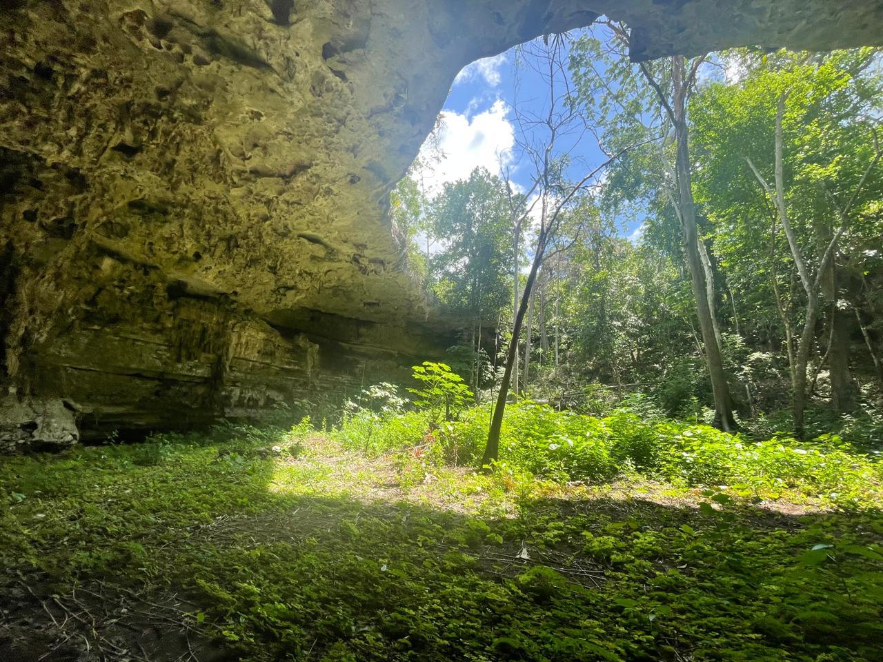 Foto 11