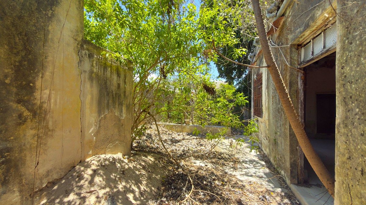Foto 15