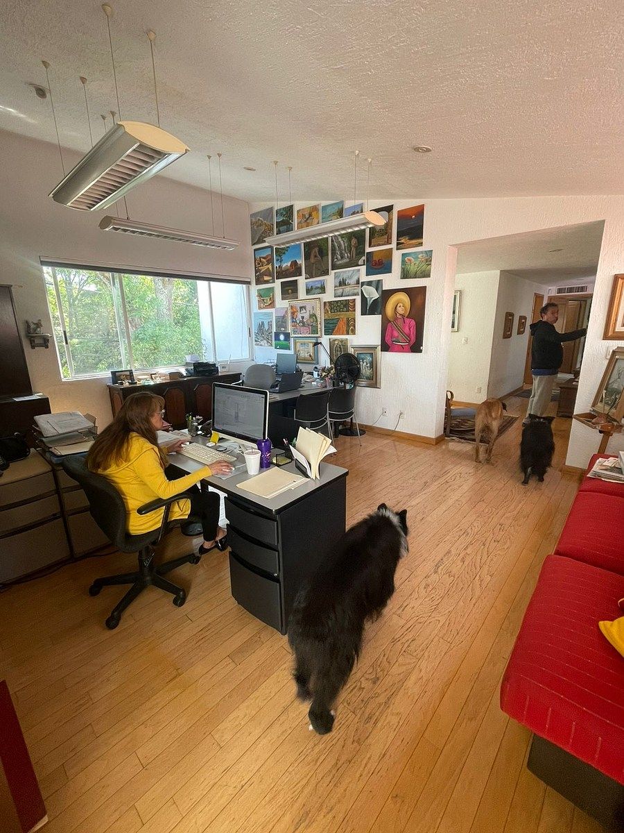 Foto 24