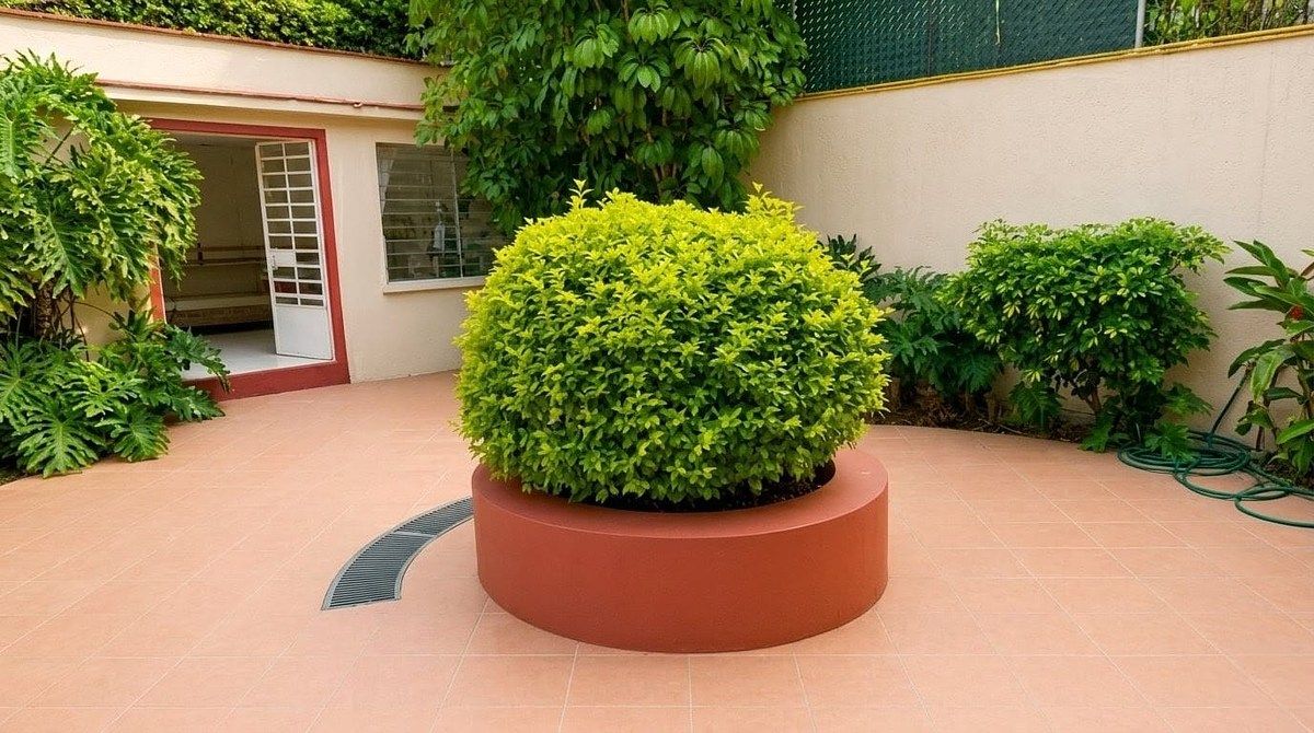 Foto 4