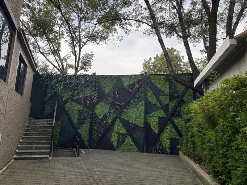 Casa en renta · Lomas de Virreyes, Miguel Hidalgo, Ciudad de México