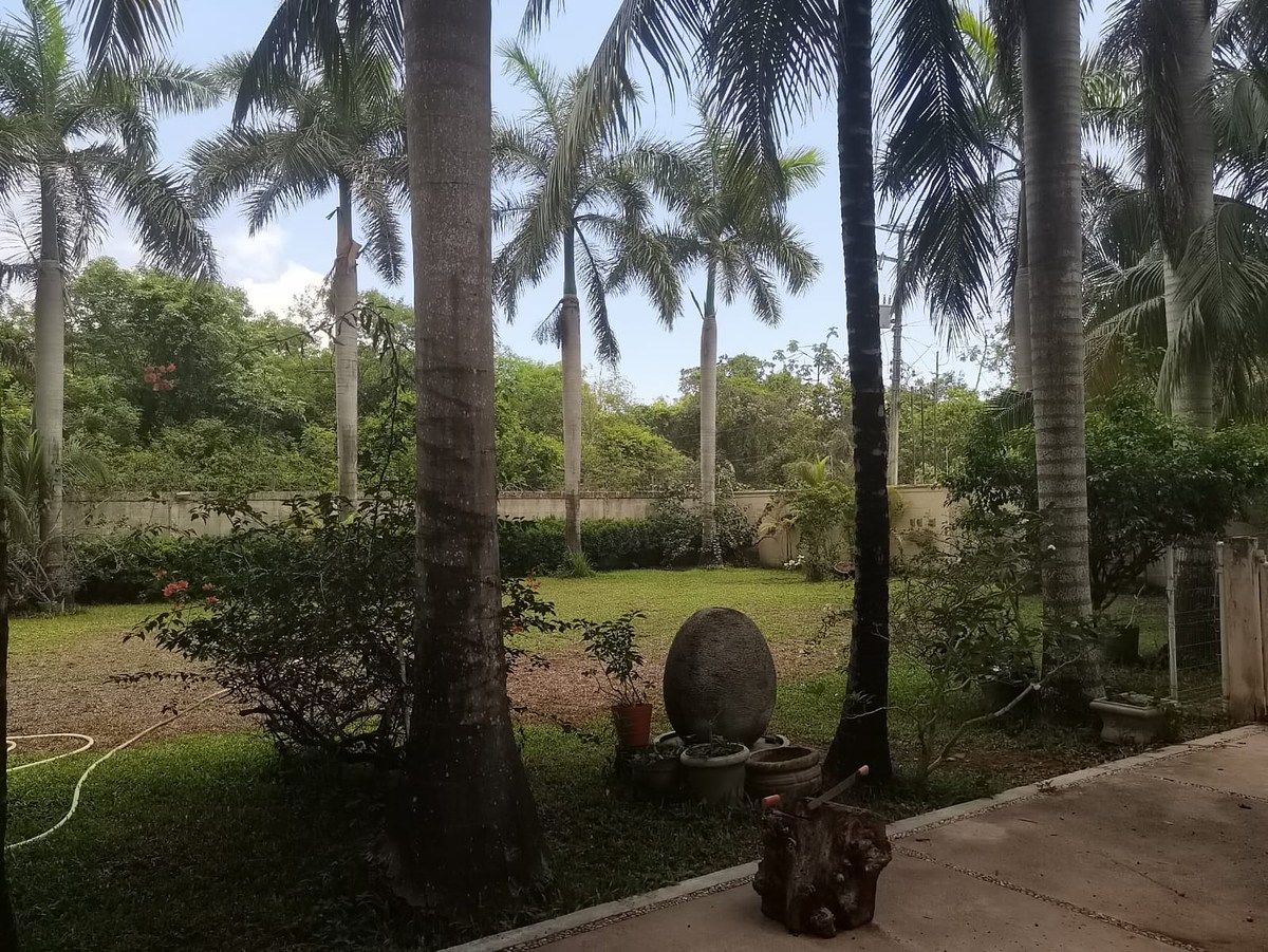 Foto 19