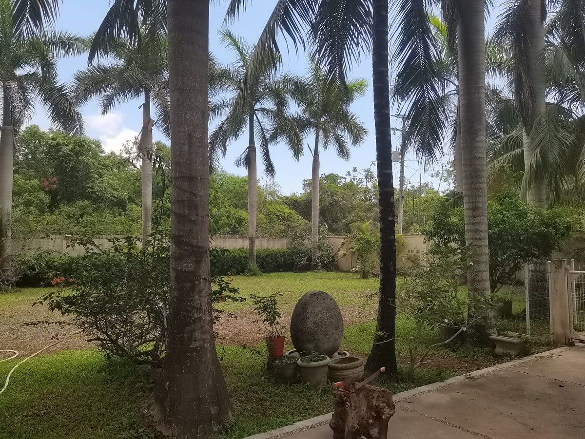 Foto 18
