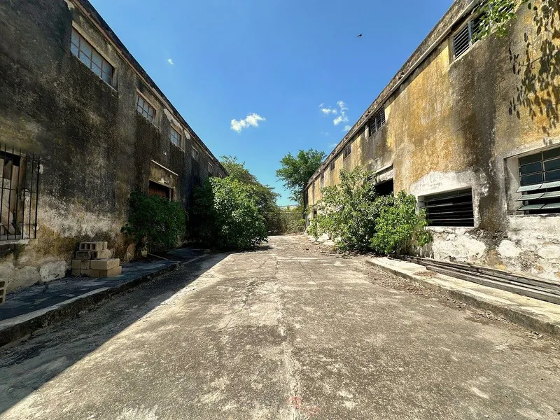 Foto 12