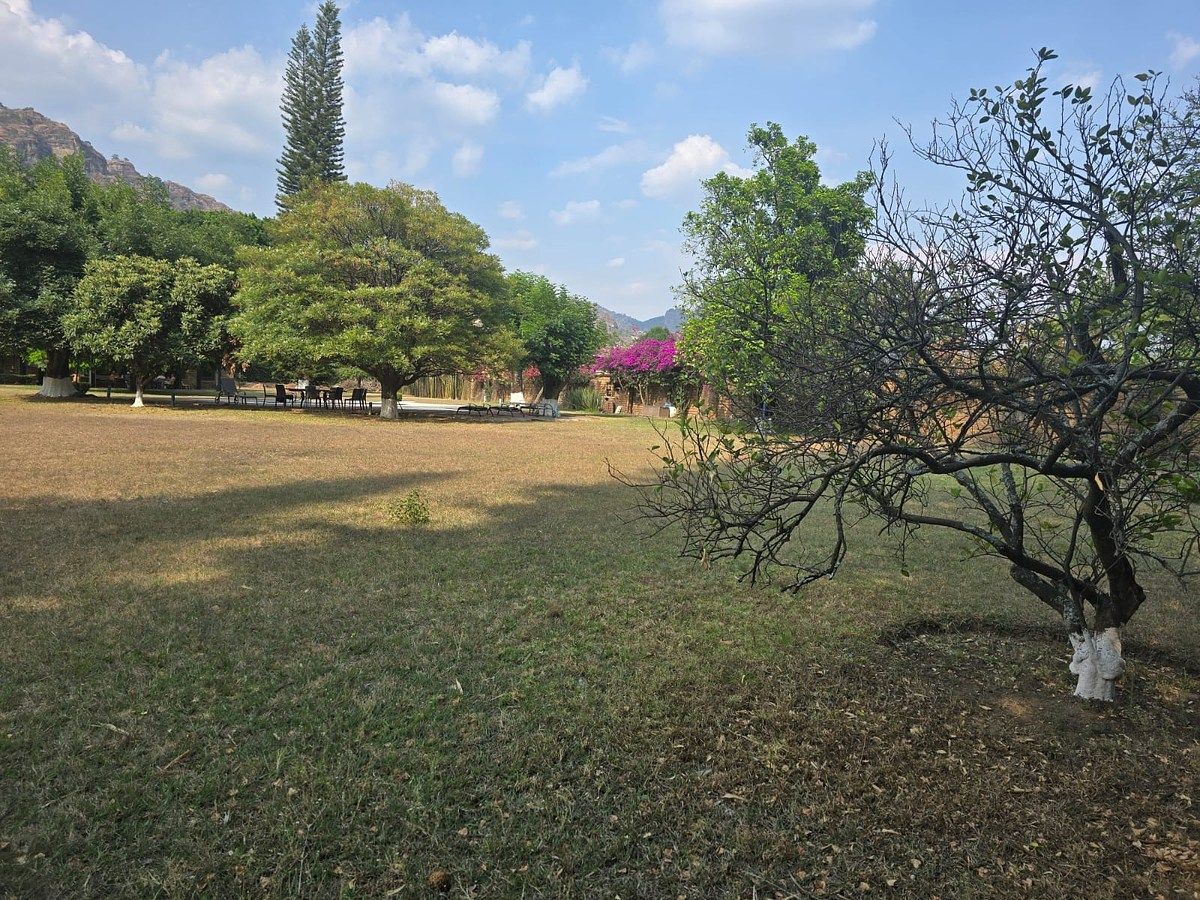 Foto 14