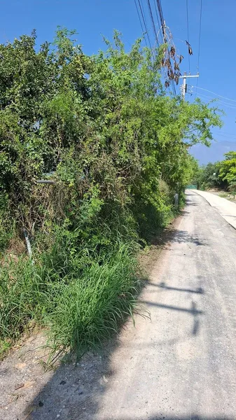 Foto 16