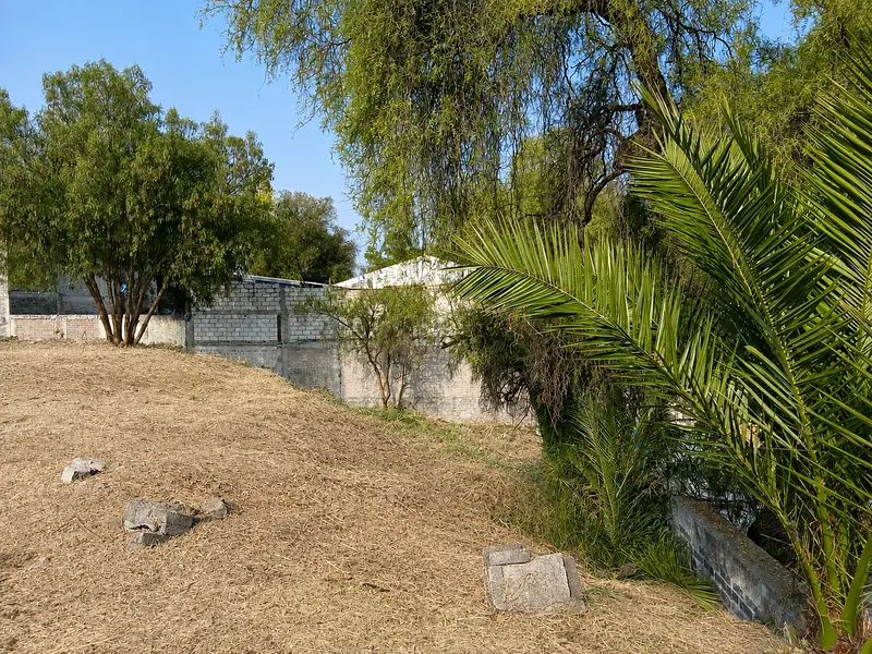 Foto 13