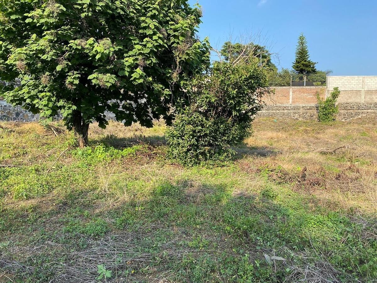 Lote en venta · Ahuatepec, Cuernavaca, Morelos