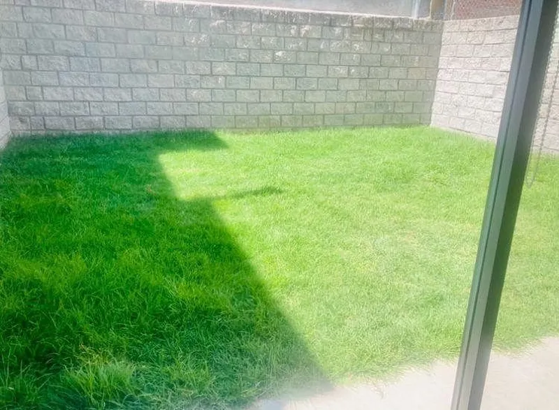 Foto 7