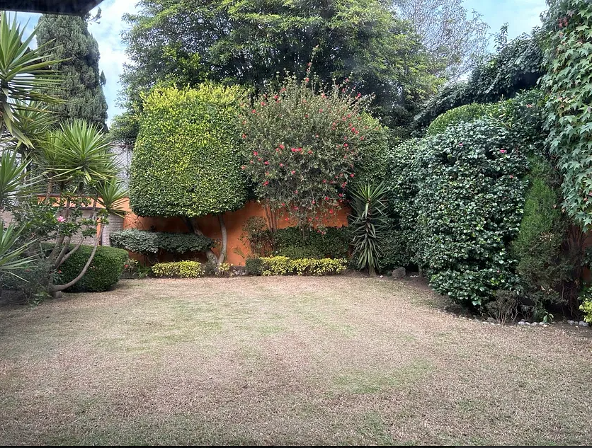 Foto 21