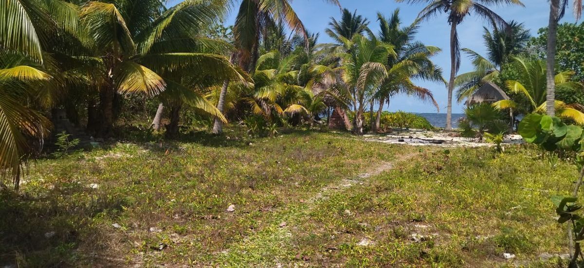 Lote en venta · Mahahual, Othón P. Blanco, Quintana Roo