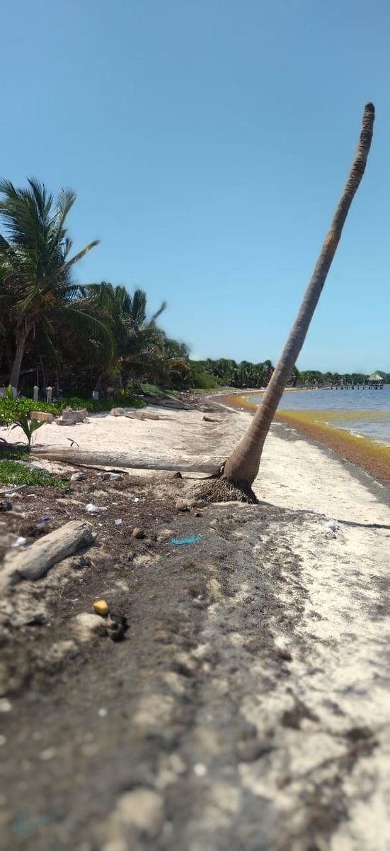 Lote en venta · Mahahual, Othón P. Blanco, Quintana Roo