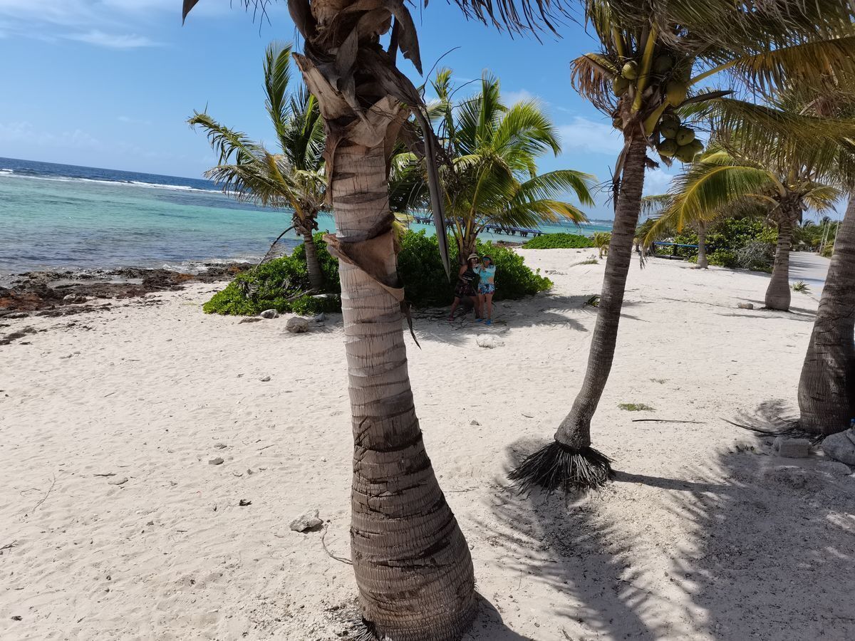 Lote en venta · Mahahual, Othón P. Blanco, Quintana Roo