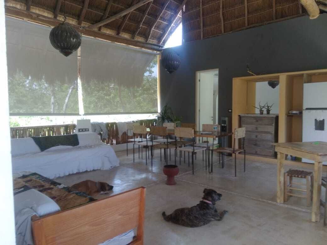 Foto 19