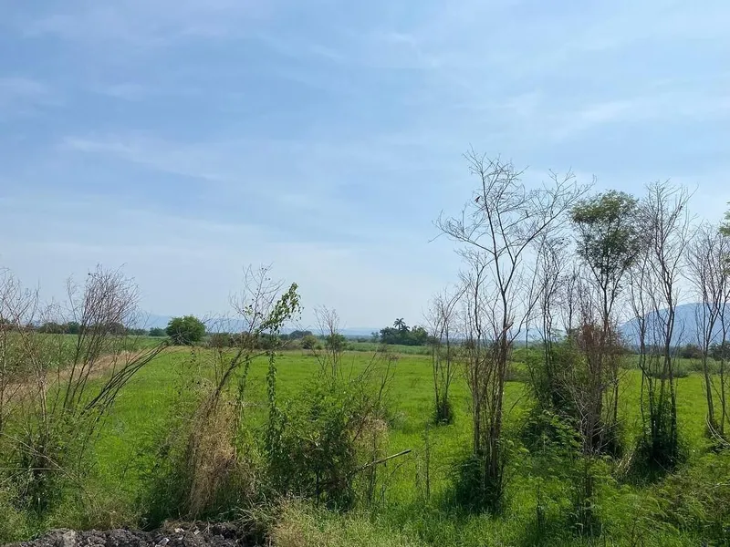 Lote en venta · Jojutla de Juárez Centro, Jojutla, Morelos