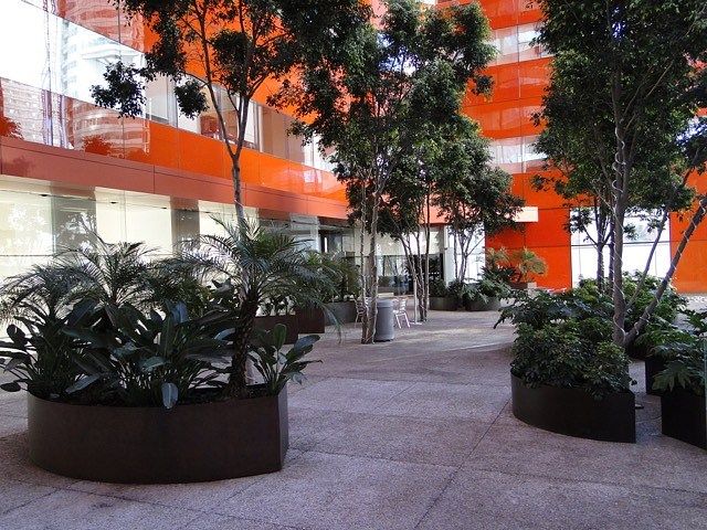 Foto 16