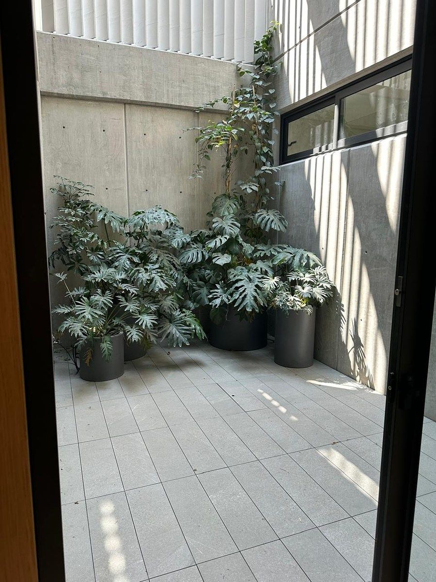 Foto 11