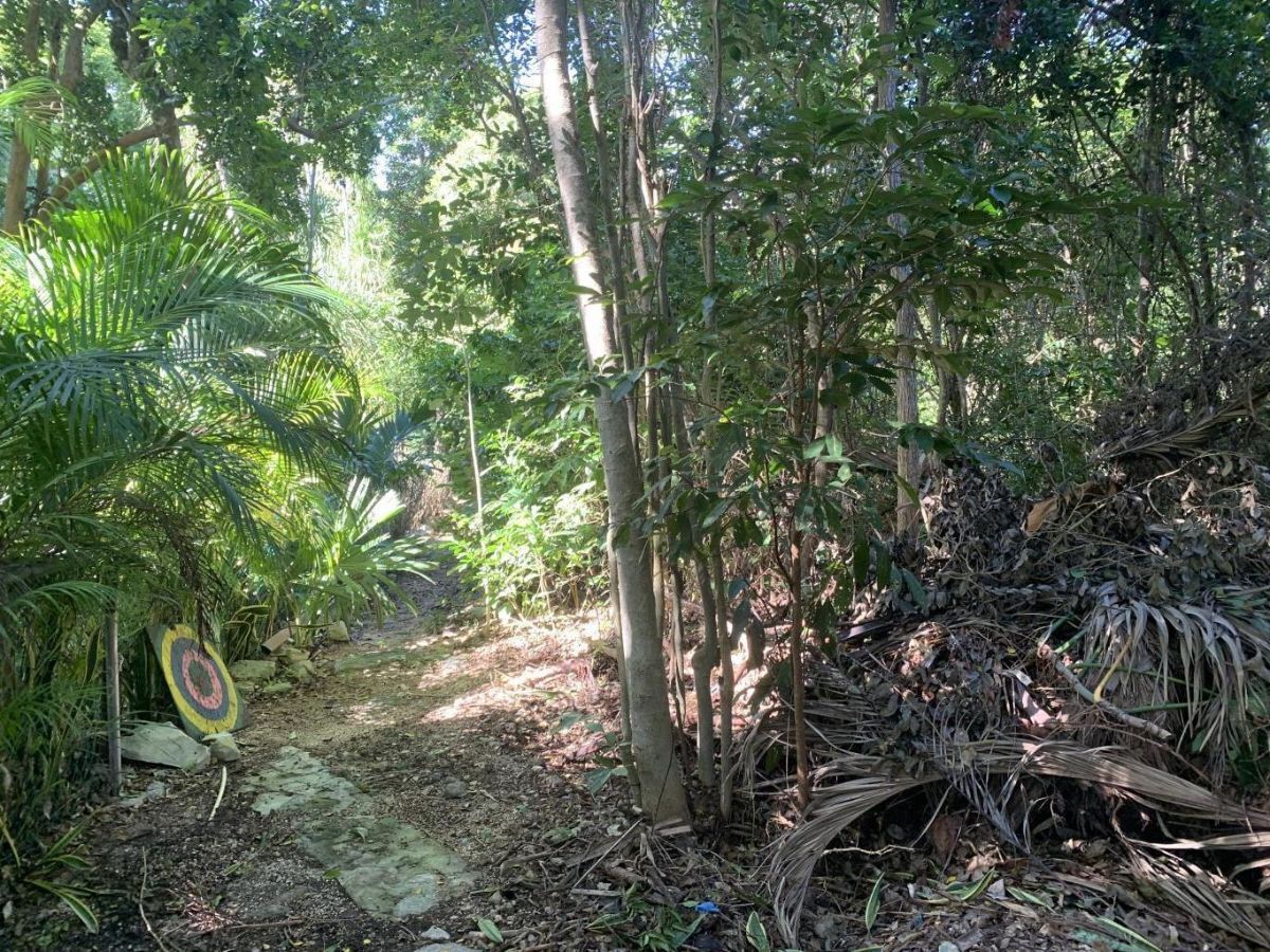 Lote en venta · Akumal, Tulum, Quintana Roo