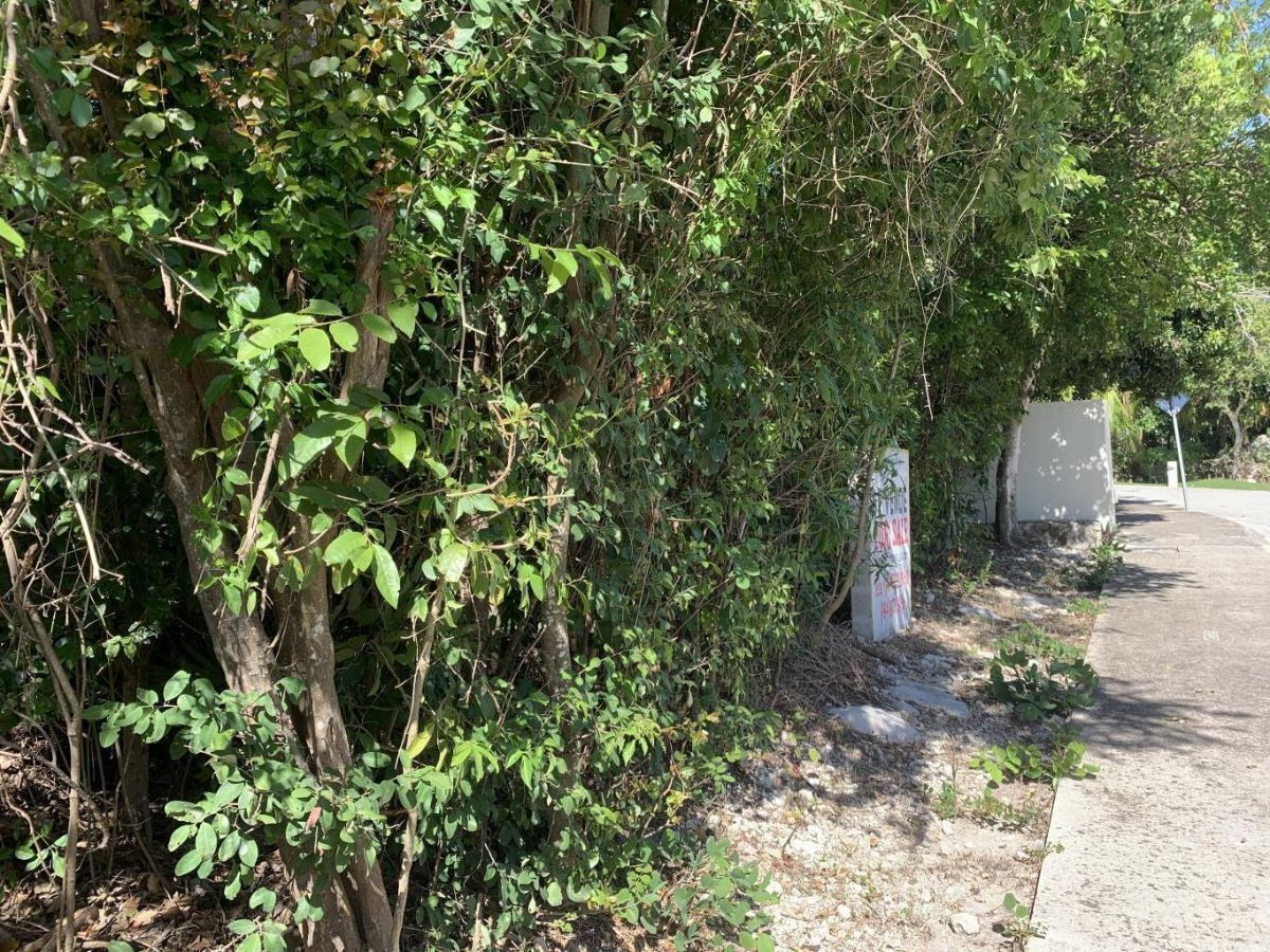 Lote en venta · Akumal, Tulum, Quintana Roo