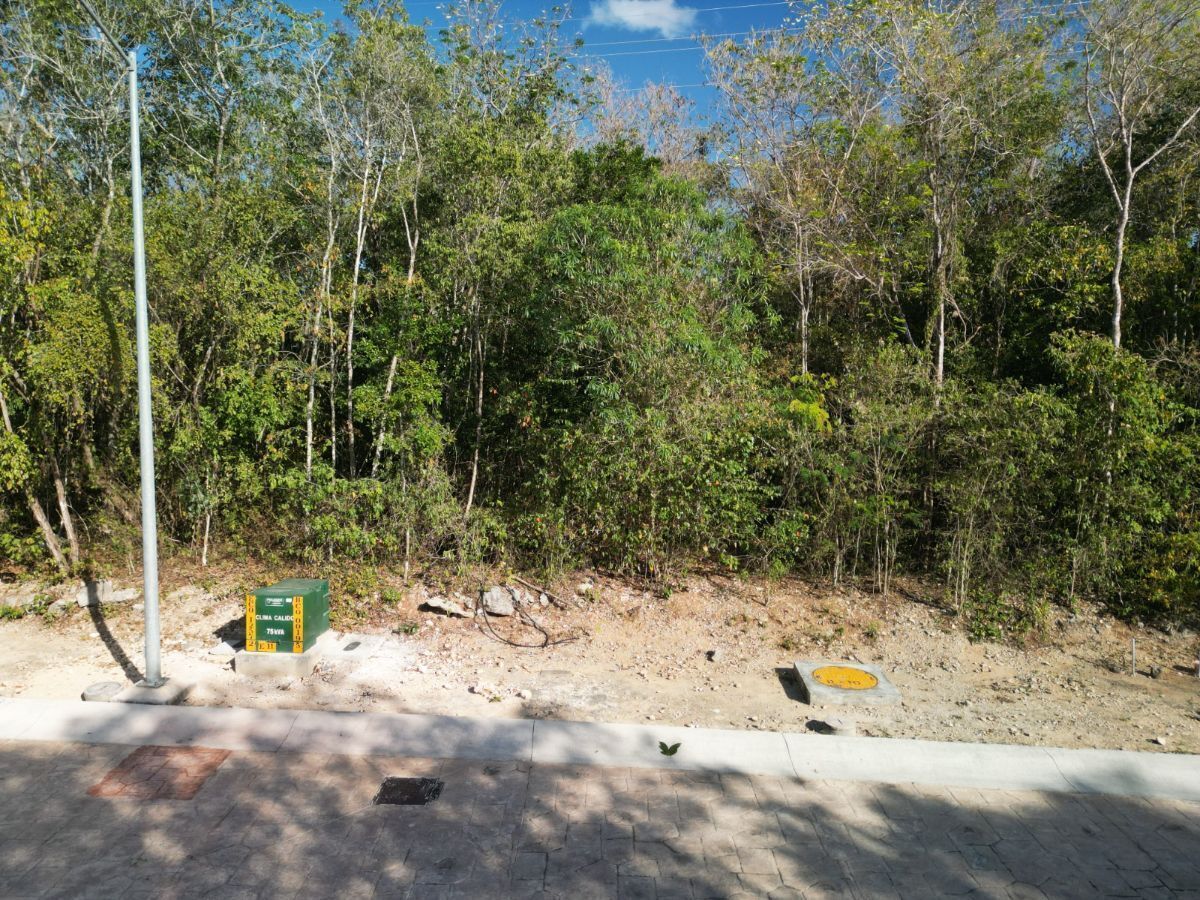 Lote en venta · Ciudad Mayakoba, Playa del Carmen, Solidaridad, Quintana Roo