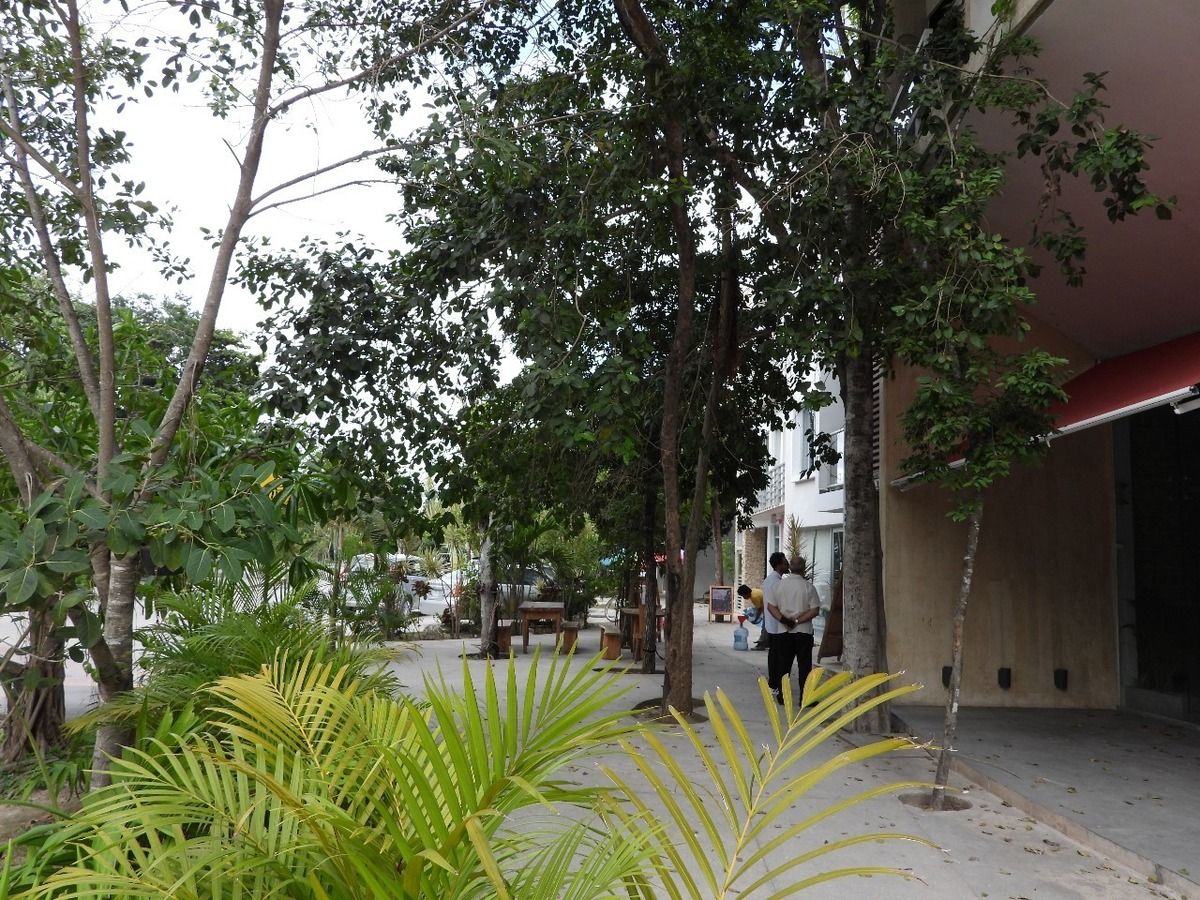 Lote en venta · Aldea Zama, Tulum, Quintana Roo