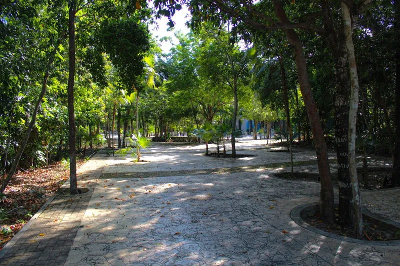 Foto 11