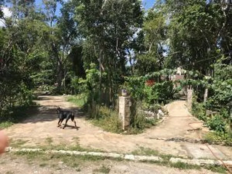 Foto 7