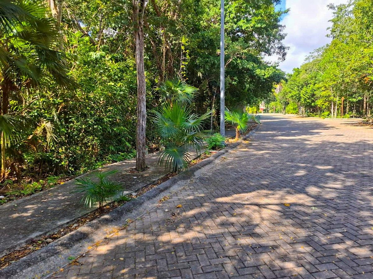 Lote en venta · Aldea Zama, Tulum, Quintana Roo