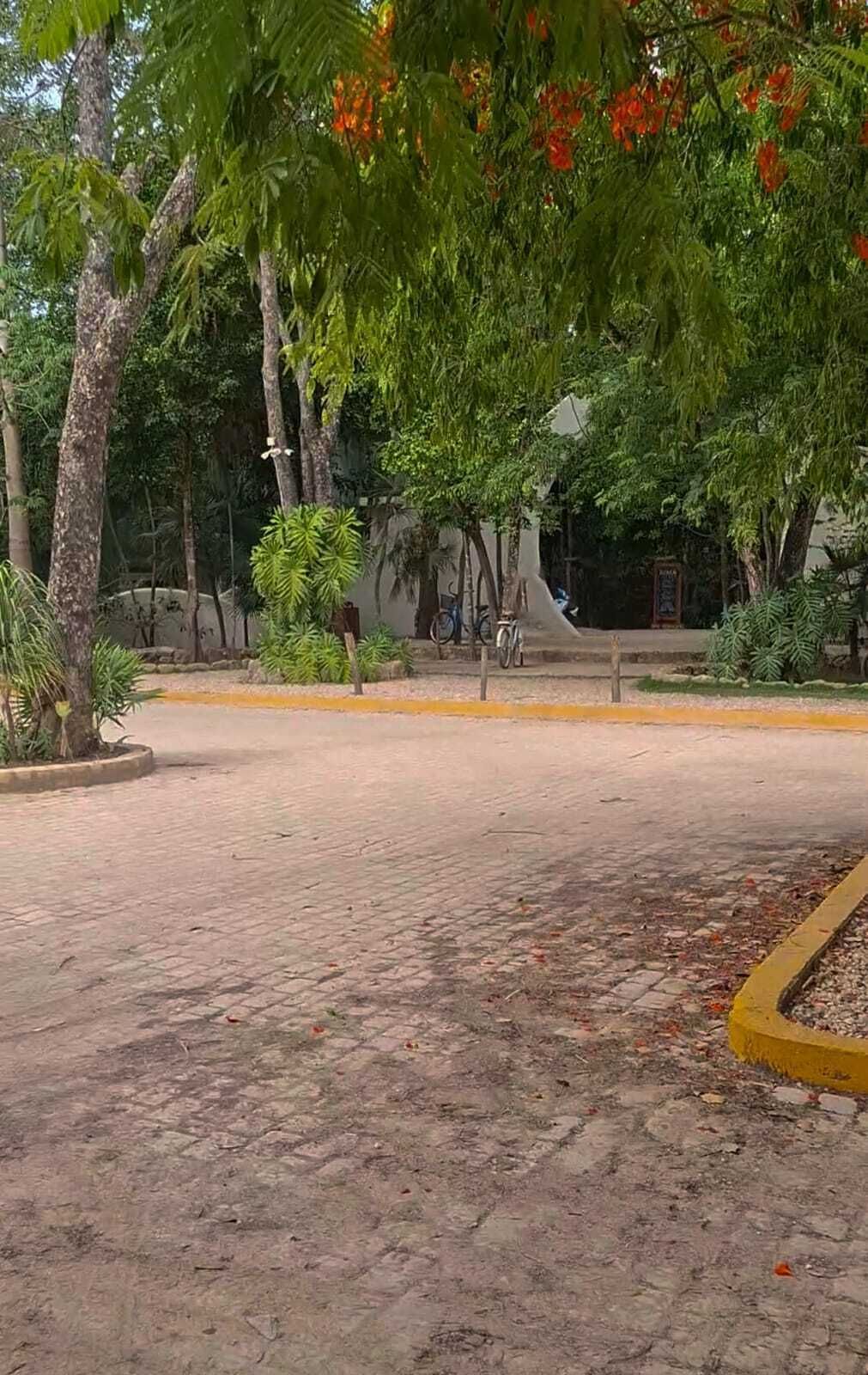 Foto 3