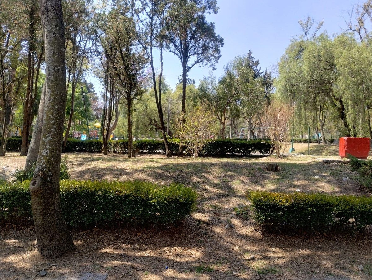 Foto 15