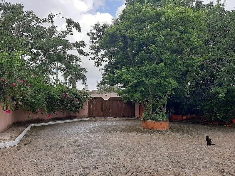 Foto 42