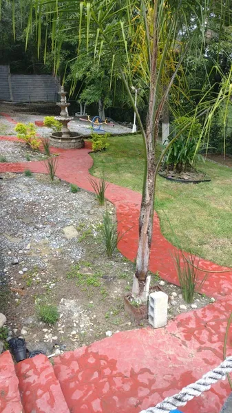 Foto 11