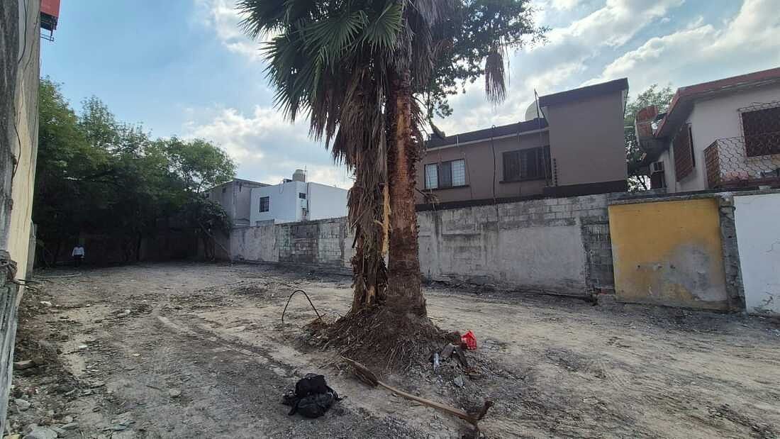 Foto 6