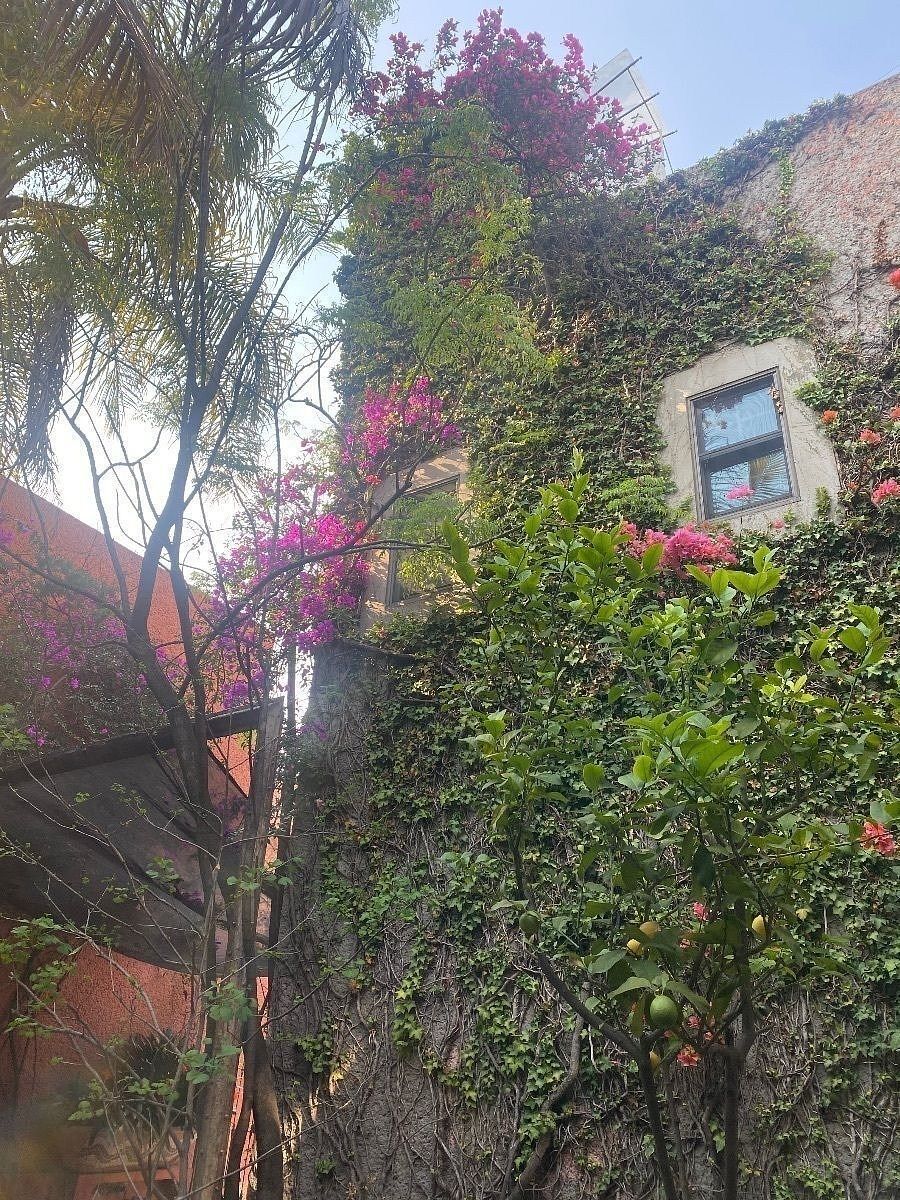 Foto 21