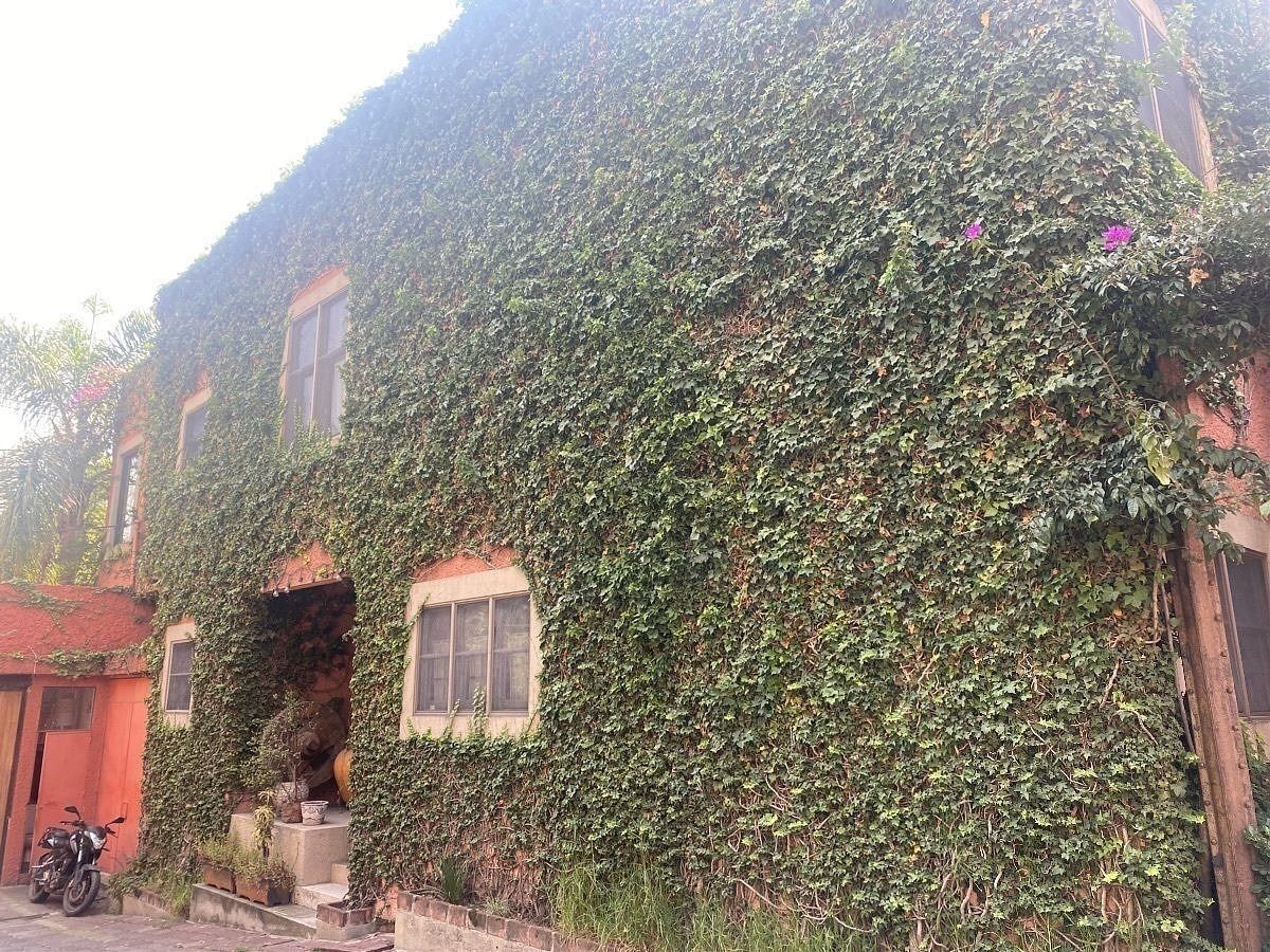 Foto 13