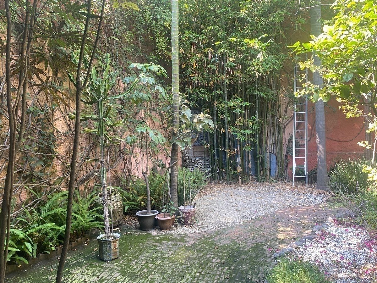 Foto 9