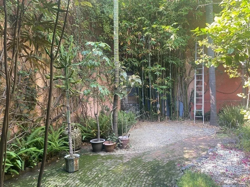 Foto 9