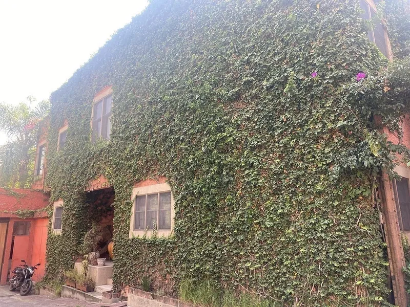 Foto 13