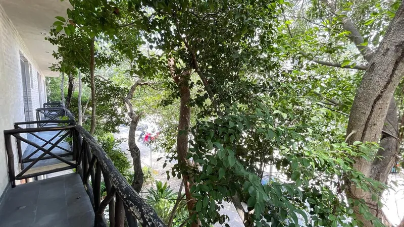 Foto 15