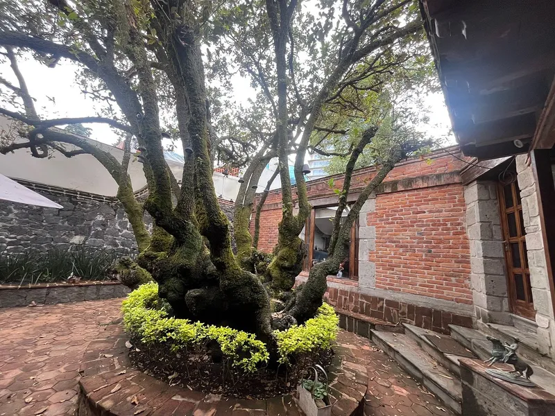 Foto 16