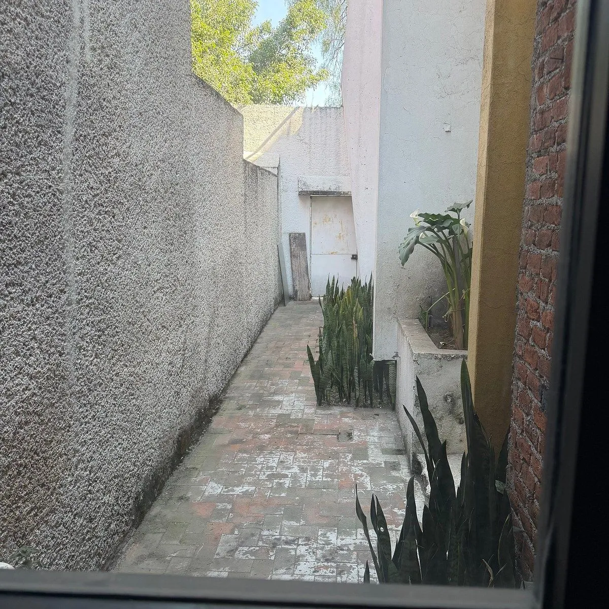 Foto 14